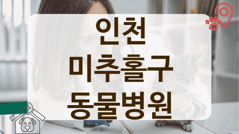 인천 미추홀구 안과 등 진료과목별 전문 동물병원 안내