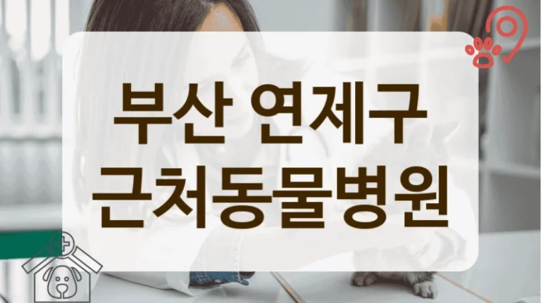 연제구 실력있는 반려동물 전문 병원 정보