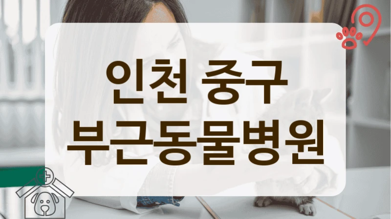 인천 중구 지역 커뮤니티에서 칭찬 자자한 동물병원