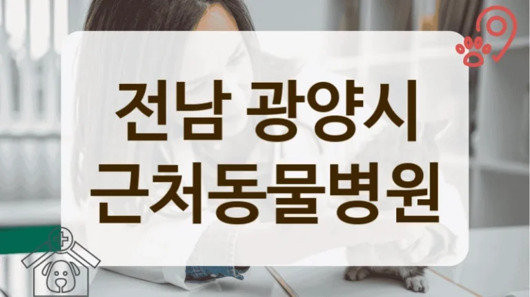 광양시 비만 관리 등 반려동물 만성질환 동물병원 추천