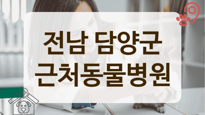 담양군 우리 아이를 위한 세심한 케어 동물병원 찾기