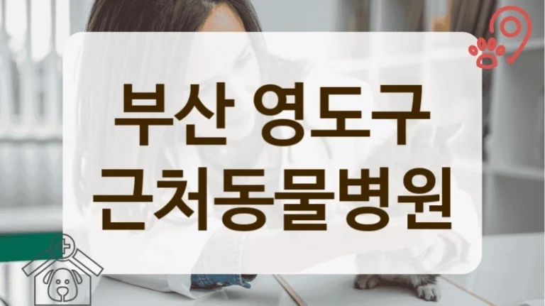 부산 영도구 대기 시간 적은 동물병원 정보