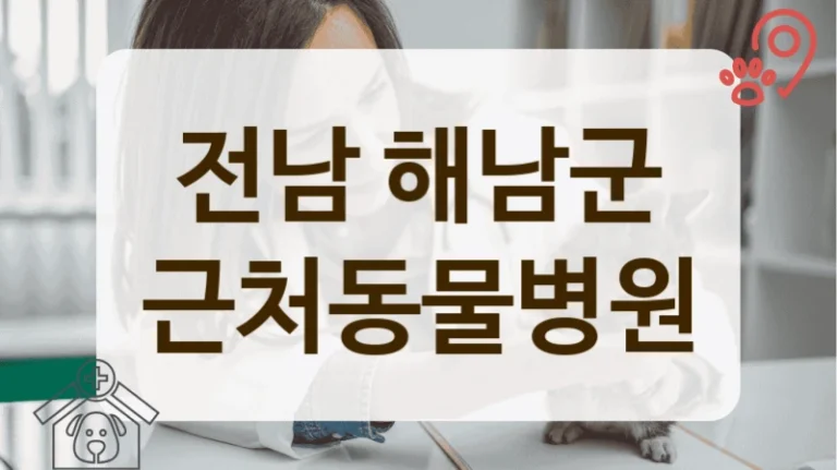 전남 해남군 내과 등 진료과목별 전문 동물병원 총정리