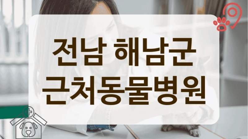 전남 해남군 내과 등 진료과목별 전문 동물병원 총정리