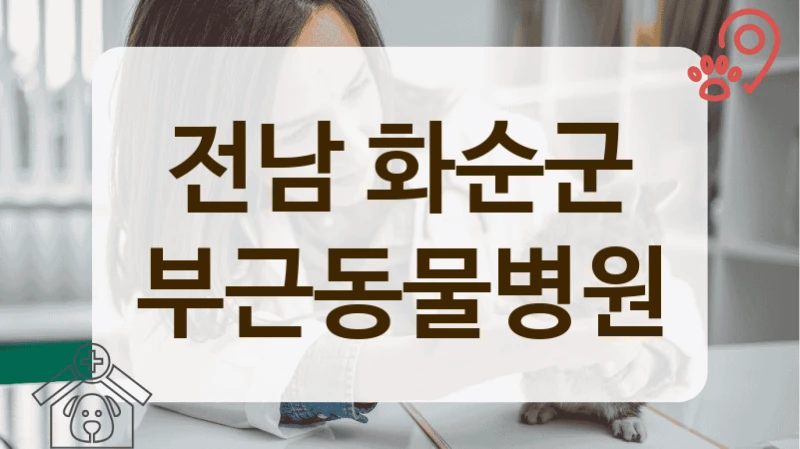 화순군 동물병원 중성화수술 비용 안내