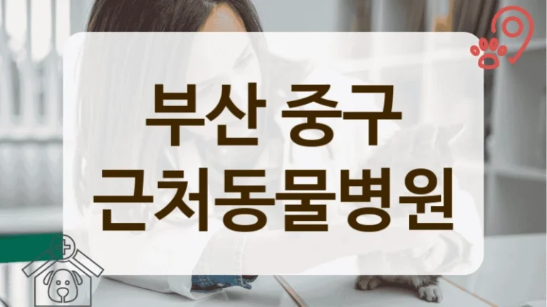 부산 중구 반려동물 실력 좋은 동물병원 추천