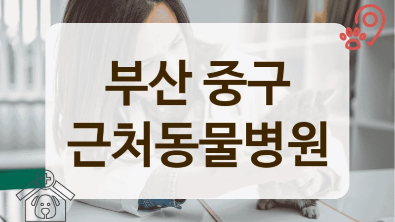 부산 중구 반려동물 실력 좋은 동물병원 추천