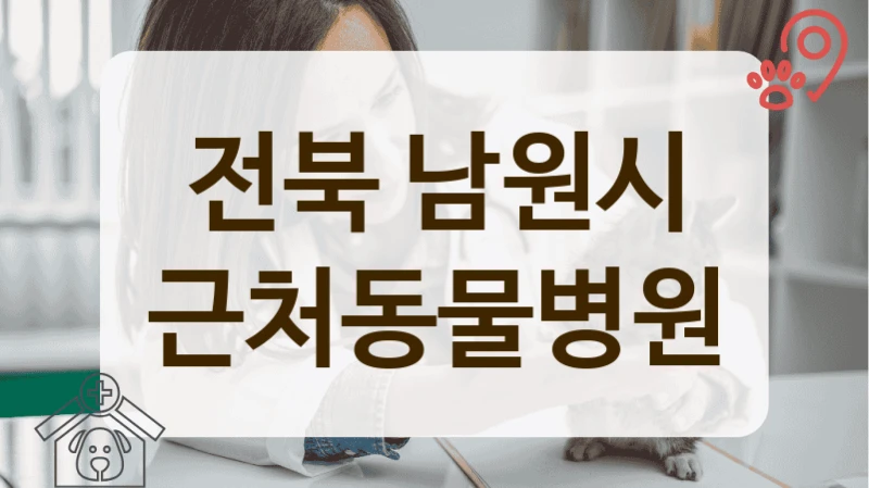 남원시 고양이 예방접종 시기와 종류 및 병원 안내