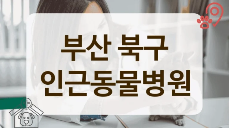 북구 아기 고양이 첫 건강검진, 친절한 동물병원