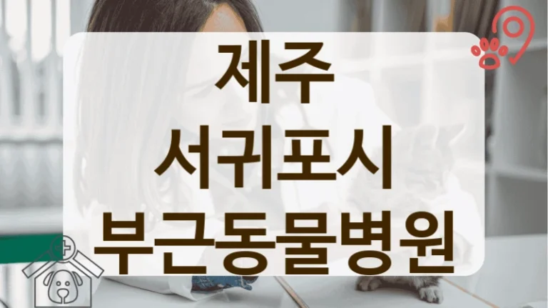 제주 서귀포시 동네 사랑방 같은 동물병원 정보안내
