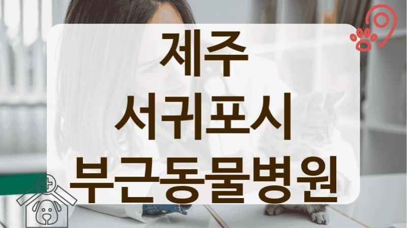 제주 서귀포시 동네 사랑방 같은 동물병원 정보안내