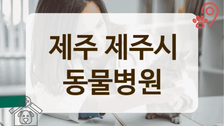 제주시 고양이 행동 문제 상담, 전문적인 동물병원