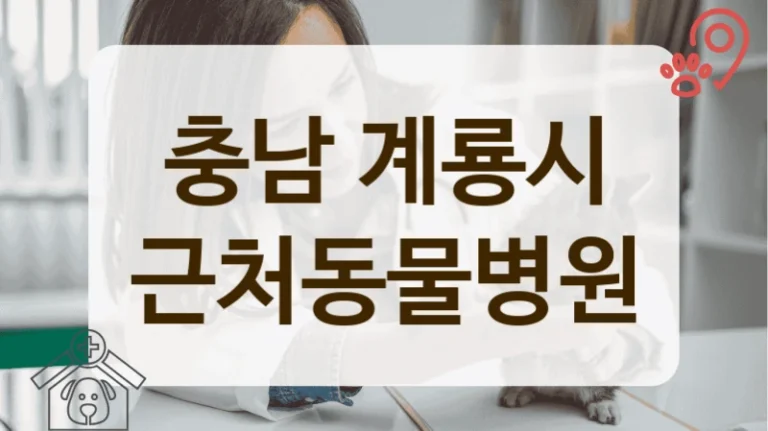 충남 계룡시 반려 동물병원, 정기 검진 프로그램 안내