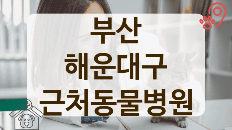 해운대구 우리 동네 입소문 난 동물병원 안내