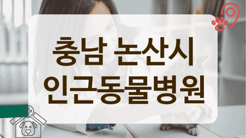 충남 논산시 SNS에서 칭찬 자자한 동물병원