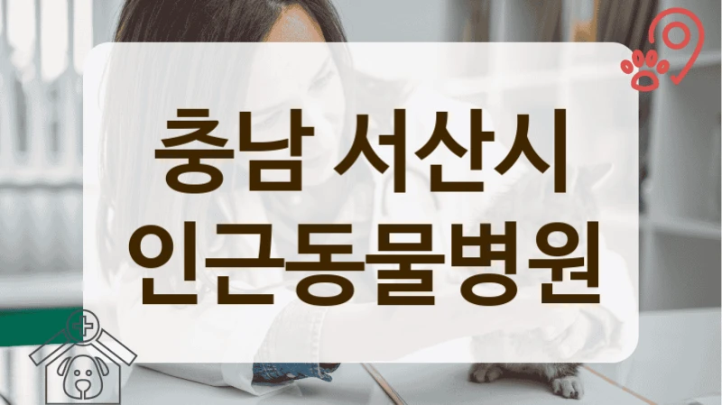 충남 서산시 반려동물 피부 질환 상담 및 치료 잘하는 곳