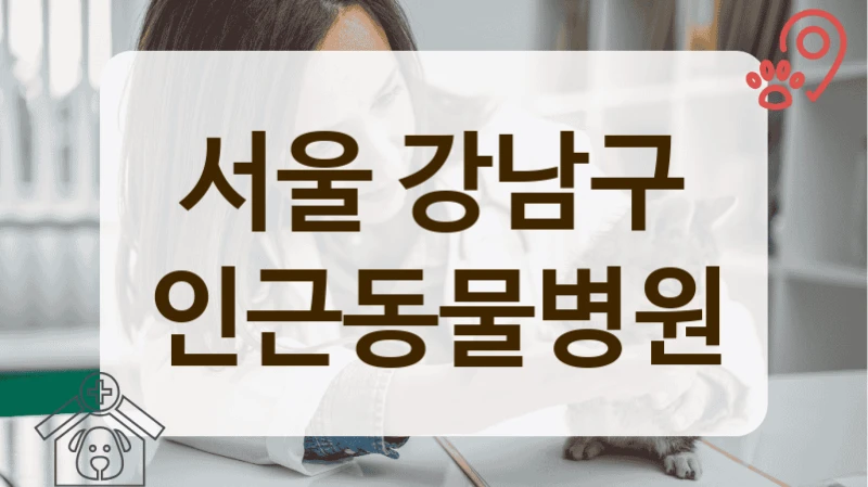 강남구 우리 고양이 주치의 찾기, 믿음 가는 동물병원