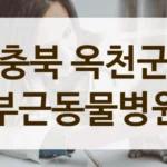충북 옥천군 강아지 치과 전문 동물병원 추천 및 안내