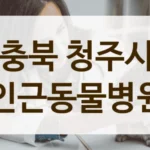 충북 청주시 설명 잘해주는 동물병원 리스트 안내
