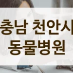 충남 천안시 동물등록 가능한 동물병원 위치