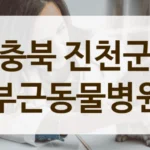 진천군 첨단 장비로 진료하는 동물병원 리스트