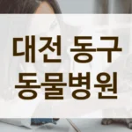 대전 동구 고양이 전문 동물병원 리스트