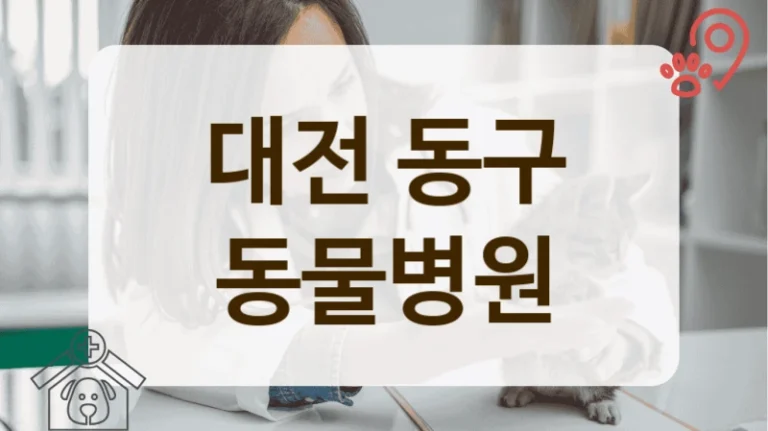 대전 동구 고양이 전문 동물병원 리스트