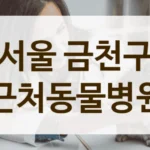 서울 금천구 보호자와의 소통을 중시하는 동물병원 추천