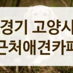 경기 고양시 반려동물 생일파티 장소 대관 및 카페