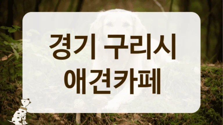 경기 구리시 시설 깔끔한 애견카페 정보 경기 구리시 시설 깔끔한 애견카페 정보