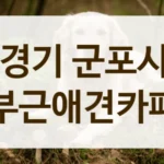 경기 군포시 댕댕이 펫카페 정보