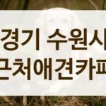 수원시 근처 강아지 동반 나들이, 애견카페 추천 장소