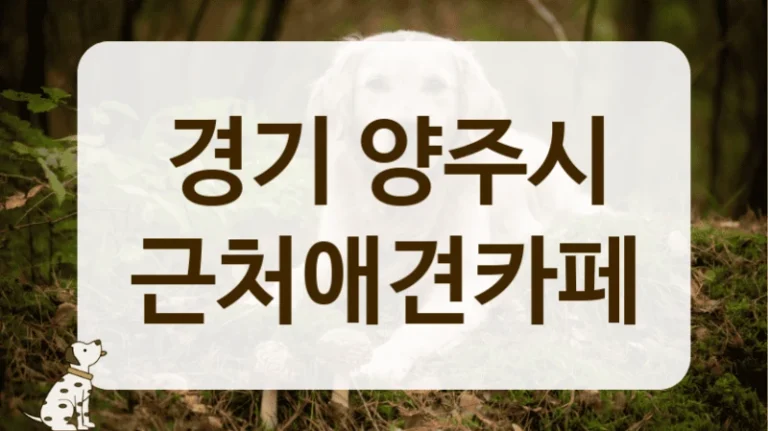 양주시 친구 사귀기 좋은 애견카페 추천 양주시 친구 사귀기 좋은 애견카페 추천