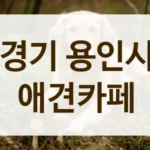 경기 용인시 숲세권 힐링 애견카페 방문 후기