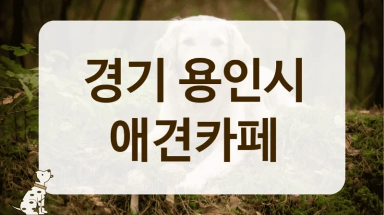 경기 용인시 숲세권 힐링 애견카페 방문 후기