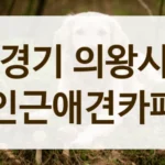 의왕시 미세먼지 심한 날 가기 좋은 실내 애견카페 정보