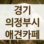 의정부시 늦게까지 운영하는 야간 애견카페 리스트