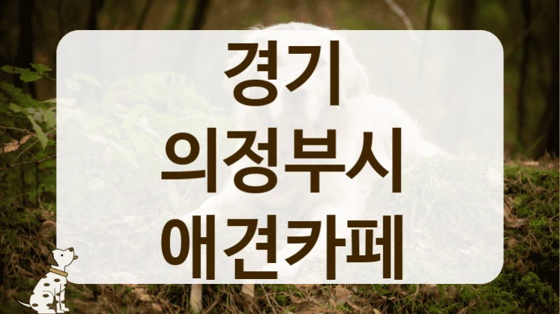 의정부시 늦게까지 운영하는 야간 애견카페 리스트