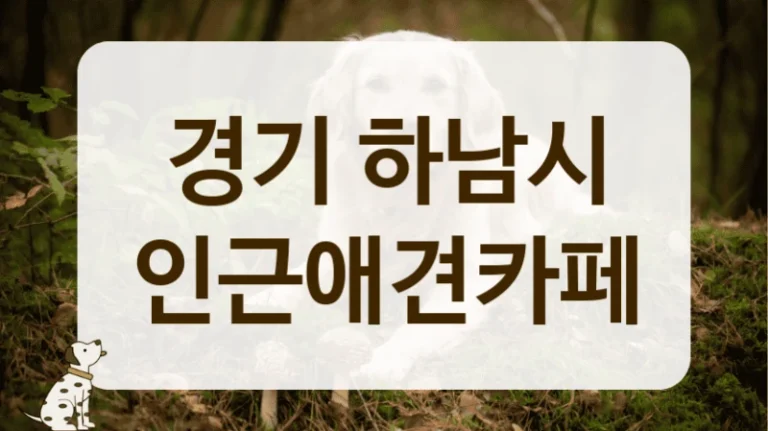 하남시 우리 동네 숨은 핫플 애견카페 안내