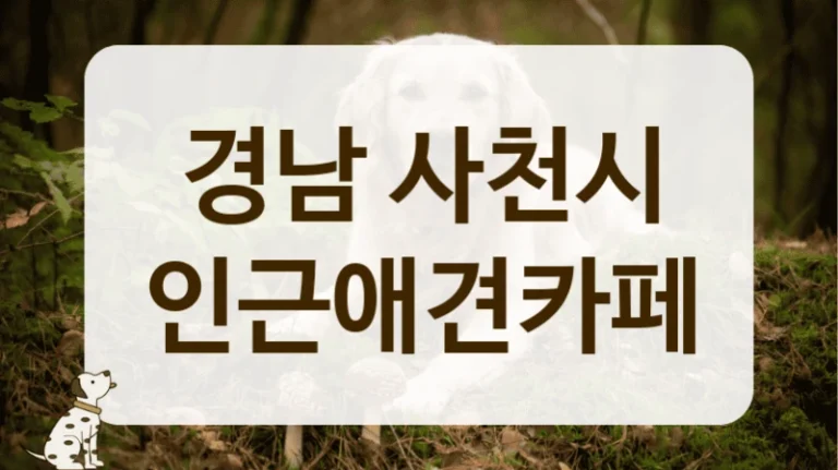 사천시 미세먼지 심한 날 가기 좋은 실내 애견카페 추천 사천시 미세먼지 심한 날 가기 좋은 실내 애견카페 추천
