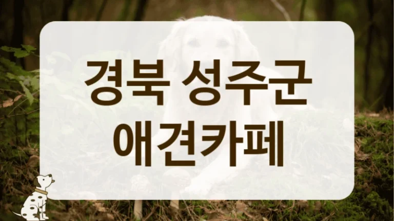 성주군 합리적인 가격으로 즐기는 애견카페 정보