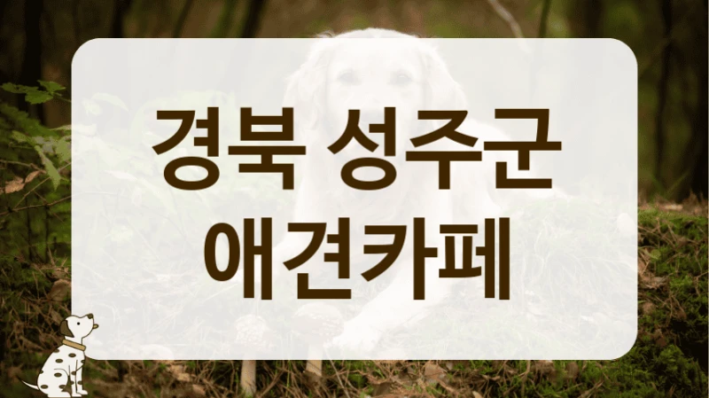 성주군 합리적인 가격으로 즐기는 애견카페 정보 성주군 합리적인 가격으로 즐기는 애견카페 정보