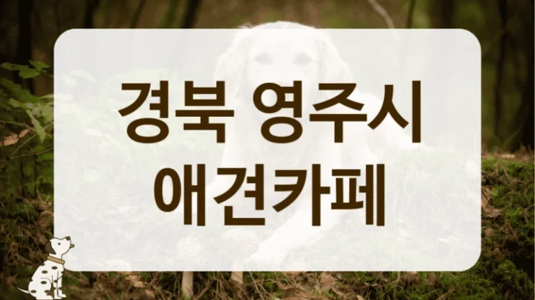 영주시 퍼피 강아지 방문하기 좋은, 친절한 애견카페