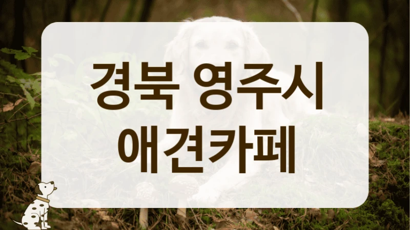 영주시 퍼피 강아지 방문하기 좋은, 친절한 애견카페 영주시 퍼피 강아지 방문하기 좋은, 친절한 애견카페