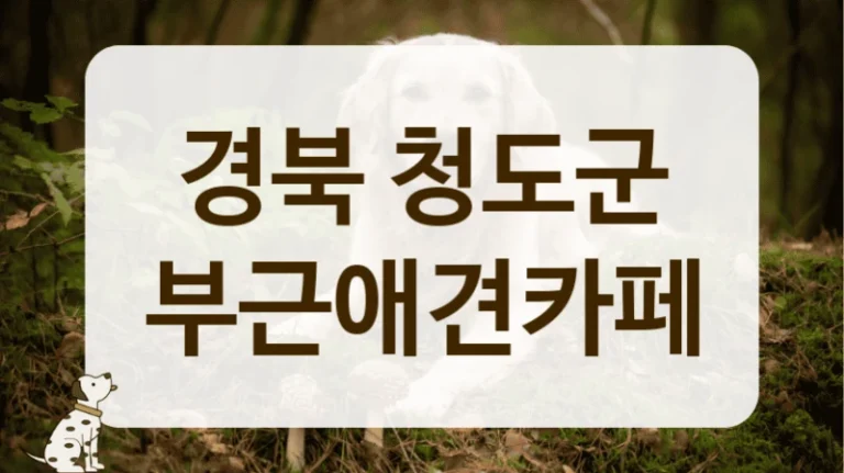 청도군 정기 정모 하기 최적화된 애견카페 추천 청도군 정기 정모 하기 최적화된 애견카페 추천