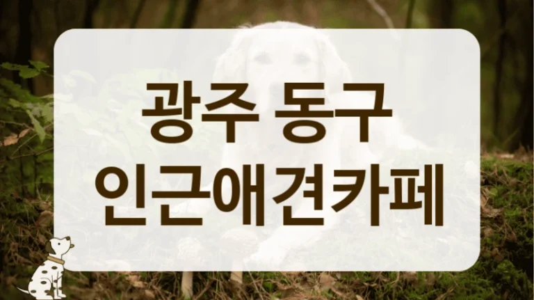 동구 강아지 행동 전문가가 있는, 안전하게 즐기는 애견카페 동구 강아지 행동 전문가가 있는, 안전하게 즐기는 애견카페
