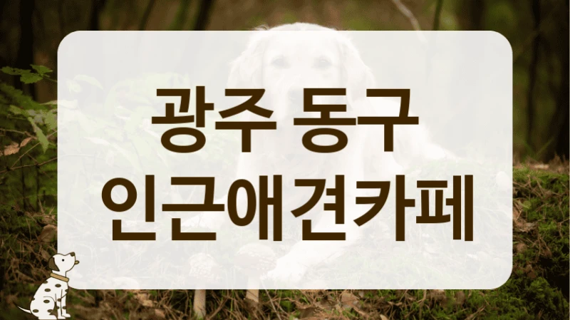 동구 강아지 행동 전문가가 있는, 안전하게 즐기는 애견카페
