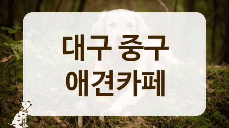 중구 부담 없이 즐기는 애견카페 정보