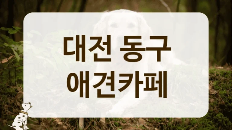 동구 강아지 용품 판매 및 체험 가능한 애견카페 리스트