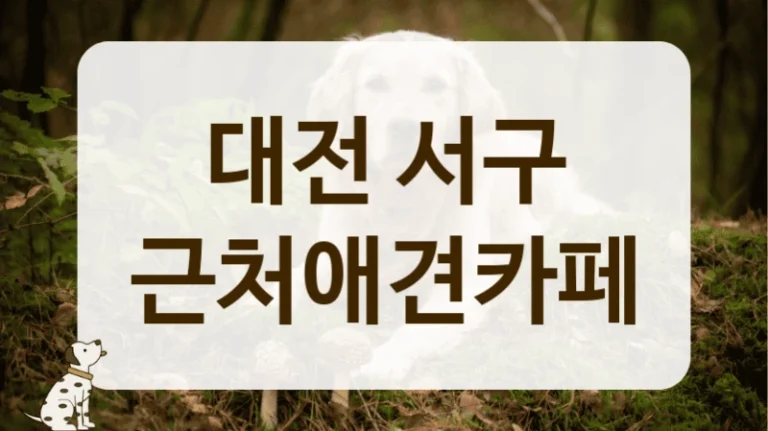 대전 서구 애견카페 주차 정보 한눈에 보기 대전 서구 애견카페 주차 정보 한눈에 보기